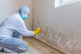 Asbestos and Lead Testing During Mold Inspection in Eglin Af, FL